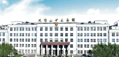 双鸭山矿业公司